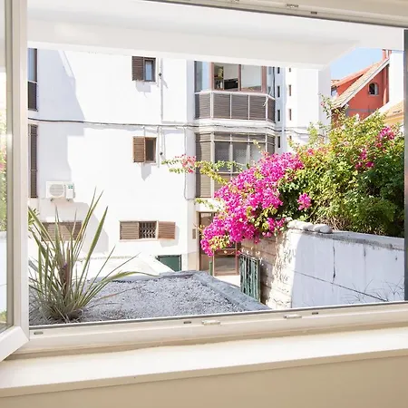 Apartment Bay Terrace Iii